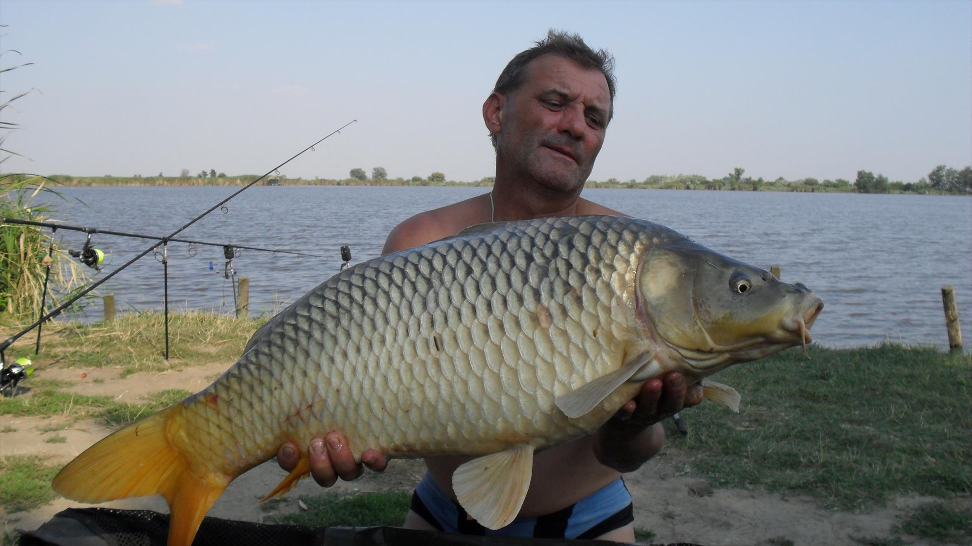 Ohat 3 8 - 11 aug. - sdc11810.JPG